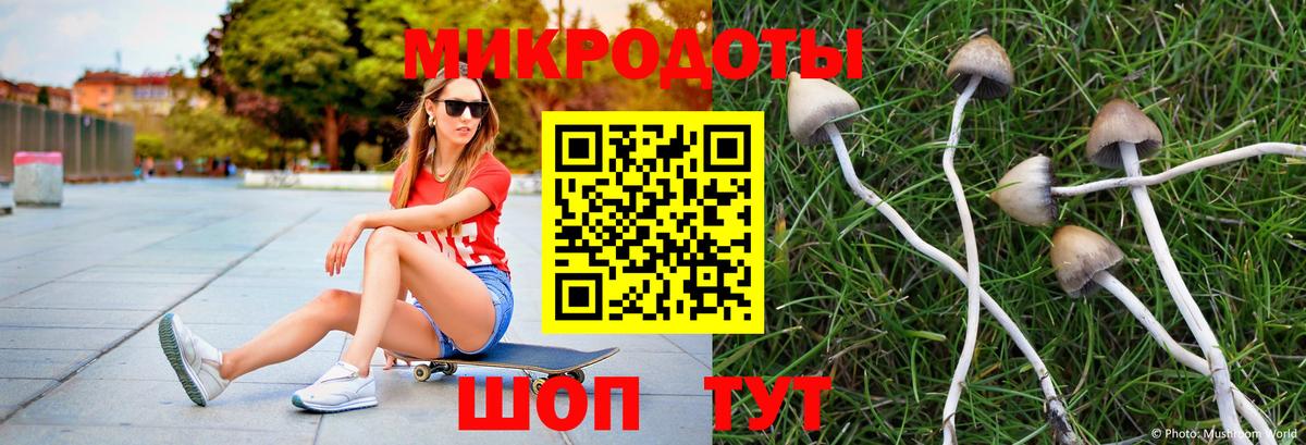 Лесосибирск  Галлюциногенные грибы GOLDEN TEACHER  Вход с VPN 